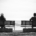 Counselling